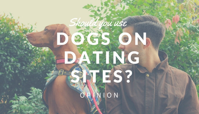 🔥 [CONTROVERSIAL]  ❄️Should you use your Dog in your dating profile?