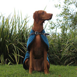 The London Blazer - Teal - [Product_type] - Owen & Edwin - Dog Coat - Dog Jacket - Pointer - Vizsla - German Shorthaired Pointer - Weimaraner - luxury