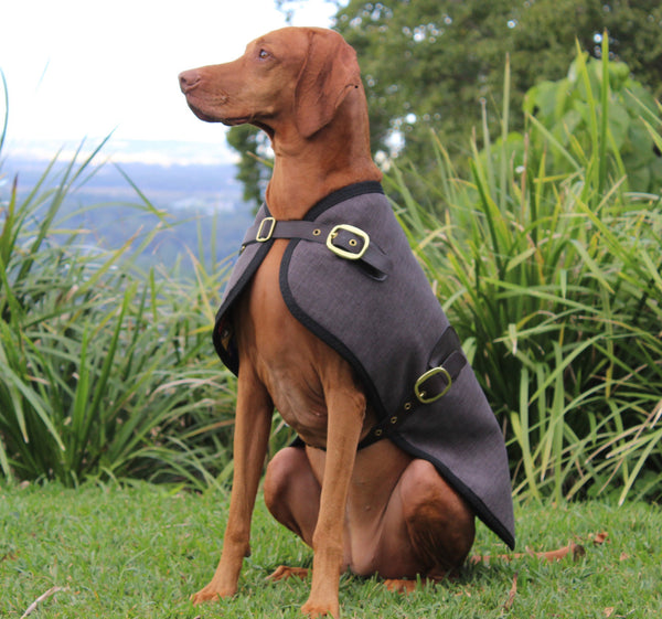 The Melbourne Blazer - Dark Oak - [Product_type] - Owen & Edwin - Dog Coat - Dog Jacket - Pointer - Vizsla - German Shorthaired Pointer - Weimaraner - luxury