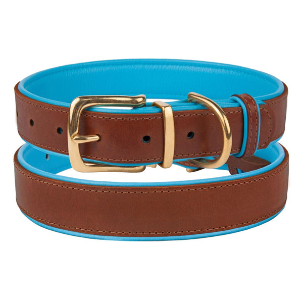 The Torquay Dog Collar - Sky Blue - [Product_type] - Owen & Edwin - Dog Coat - Dog Jacket - Pointer - Vizsla - German Shorthaired Pointer - Weimaraner - luxury