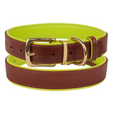 The Torquay Dog Collar - Lime Green - [Product_type] - Owen & Edwin - Dog Coat - Dog Jacket - Pointer - Vizsla - German Shorthaired Pointer - Weimaraner - luxury