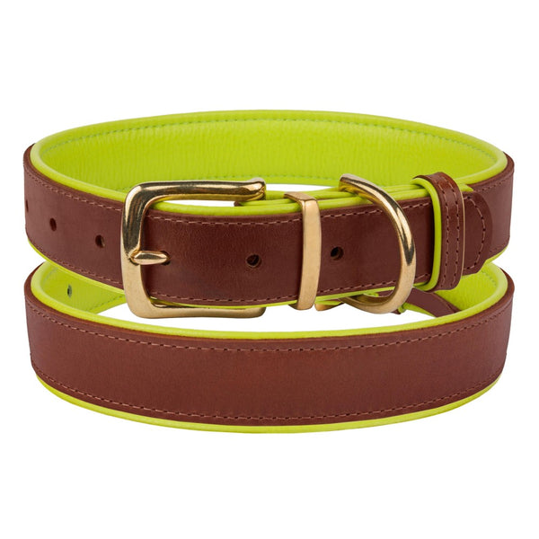 The Torquay Dog Collar - Lime Green - [Product_type] - Owen & Edwin - Dog Coat - Dog Jacket - Pointer - Vizsla - German Shorthaired Pointer - Weimaraner - luxury