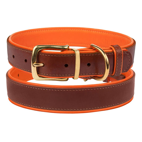 The Torquay Dog Collar - Blaze Orange - [Product_type] - Owen & Edwin - Dog Coat - Dog Jacket - Pointer - Vizsla - German Shorthaired Pointer - Weimaraner - luxury